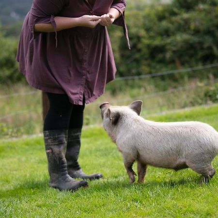 Cwtch Farm Bed & Breakfast Ystalyfera Zewnętrze zdjęcie