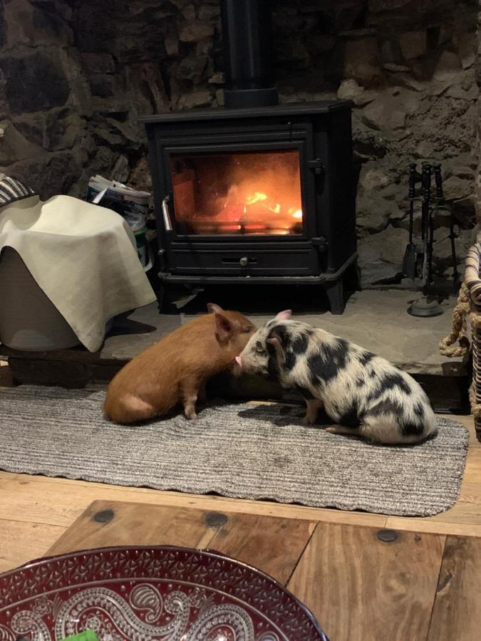 Cwtch Farm Bed & Breakfast Ystalyfera Zewnętrze zdjęcie