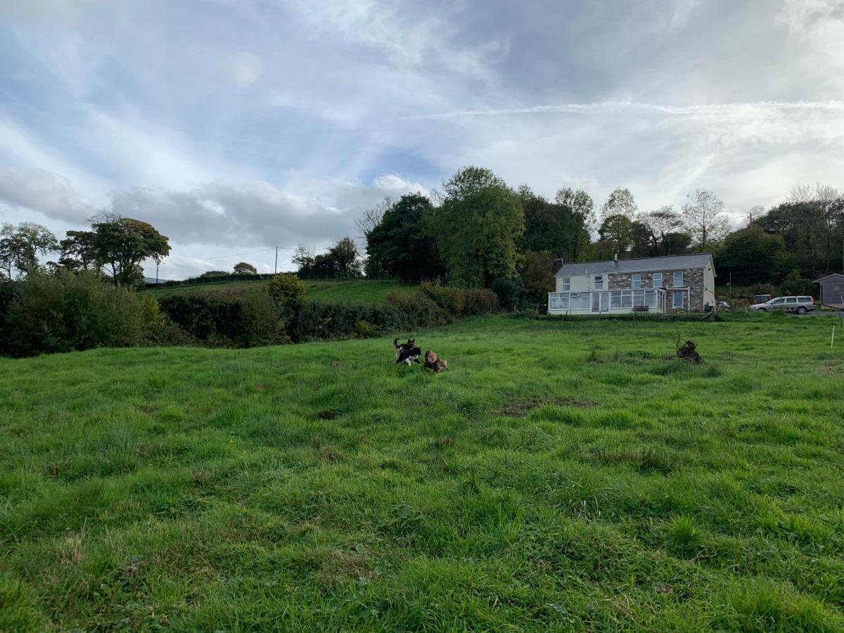 Cwtch Farm Bed & Breakfast Ystalyfera Zewnętrze zdjęcie