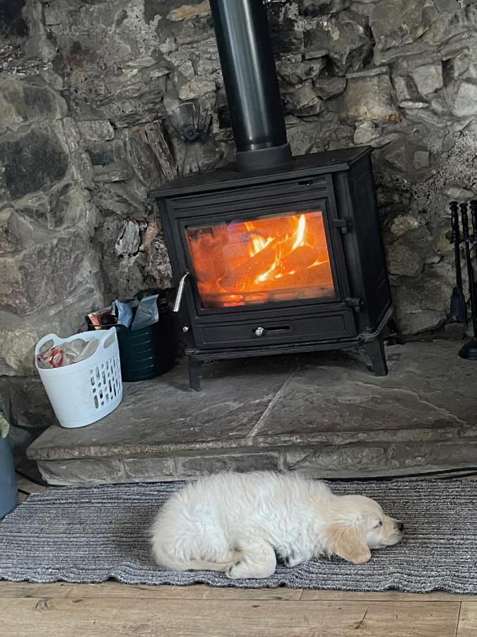 Cwtch Farm Bed & Breakfast Ystalyfera Zewnętrze zdjęcie